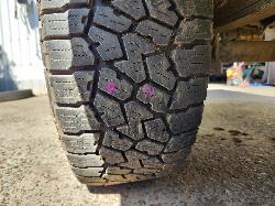 View Nissan Navara 2004 4 Door Utility