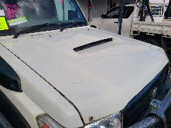 View Toyota Landcruiser 2013 2 Door Pickup