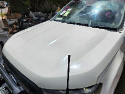 View Ford Ranger 2021 2 Door Utility