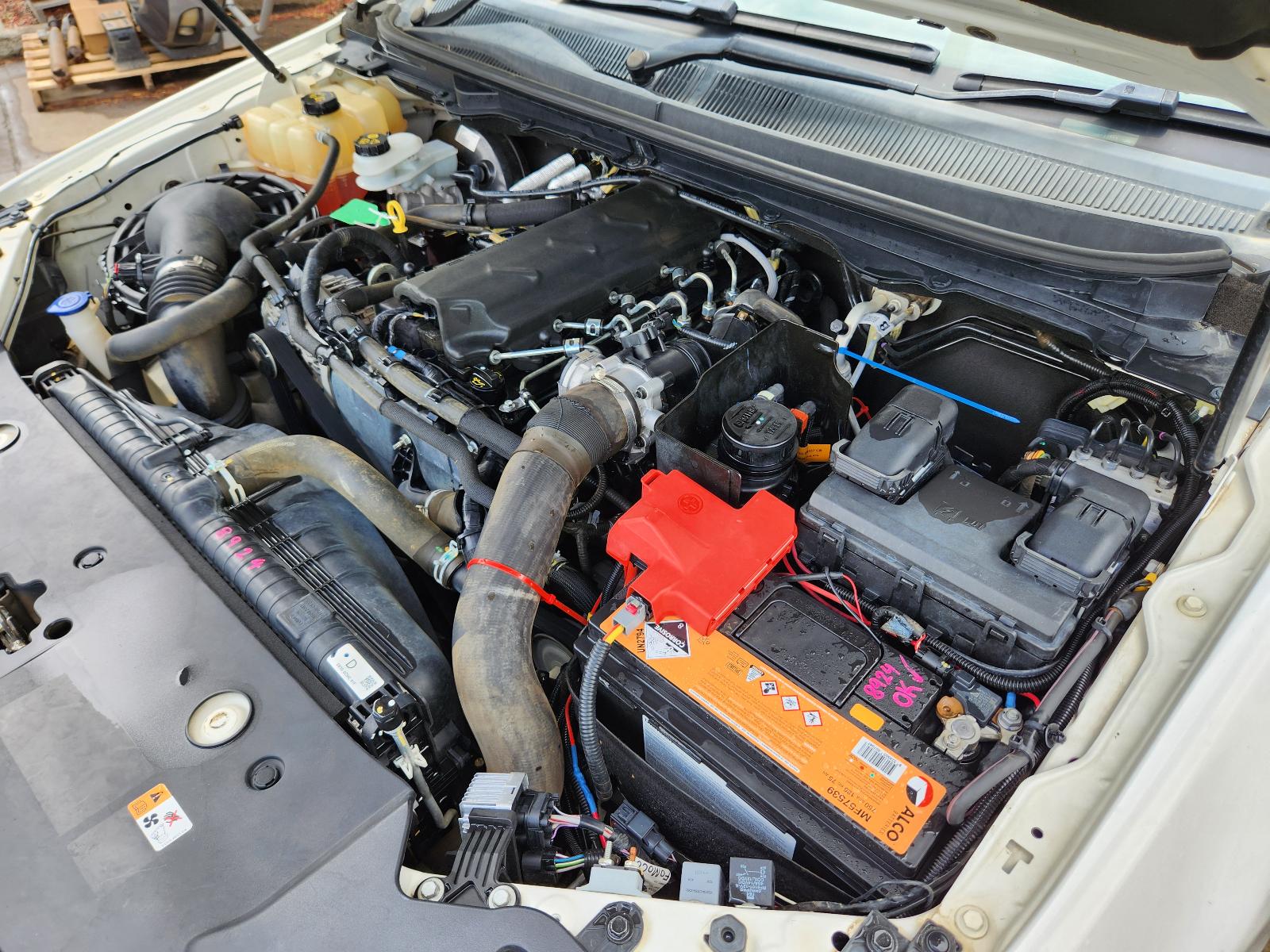 View Ford Ranger 2021 2 Door Utility