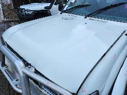 View Toyota Landcruiser 1996  