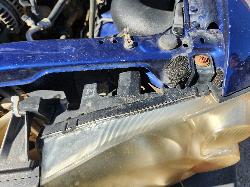 View Nissan Navara 2004  