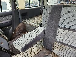 View Toyota Landcruiser 1992 4 Door Station Wagon
