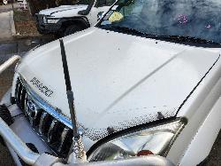 View Toyota Prado 2004  