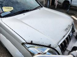 View Toyota Prado 2004  