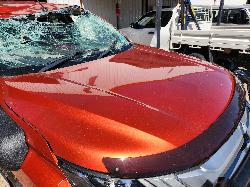 View Mitsubishi Triton 2019 4 Door Utility