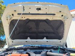 View Isuzu Dmax 2019 4 Door Utility