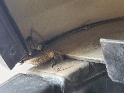 View Toyota Hilux 2014 4 Door Utility