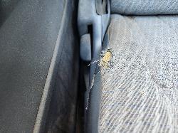 View Toyota Hilux 2001 2 Door Pickup