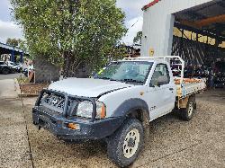 View Nissan Navara 2002 2 Door Pickup