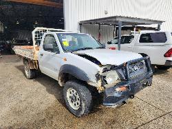 View Nissan Navara 2002 2 Door Pickup