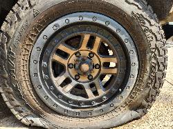 View Toyota Landcruiser 1995