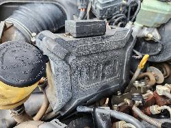 View Toyota Landcruiser 2021  