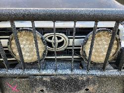 View Toyota Landcruiser 2021  