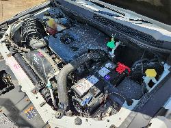 View Holden Colorado 2017 4 Door Utility