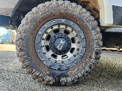 View Toyota Landcruiser 2015 2 Door Pickup