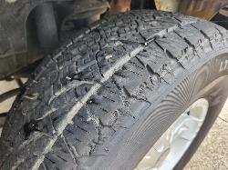 View Toyota Landcruiser 2003 4 Door Station Wagon