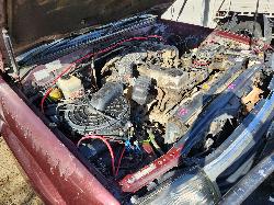 View Toyota Landcruiser 1998 4 Door Station Wagon