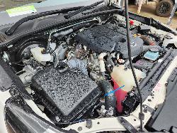 View Toyota Hilux 2025 2 Door Pickup