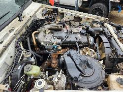 View Toyota Landcruiser 2004 2 Door Pickup