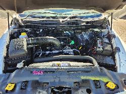 View Ram 1500 2021 4 Door Utility