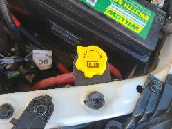 View Ford Ranger 2020 2 Door Pickup