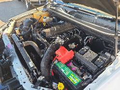 View Ford Ranger 2020 2 Door Pickup