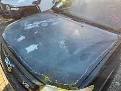 View Toyota Hilux 2006 4 Door Utility