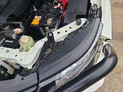 View Mitsubishi Triton 2023 2 Door Pickup