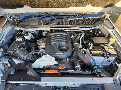 View Isuzu Dmax 2024 4 Door Pickup
