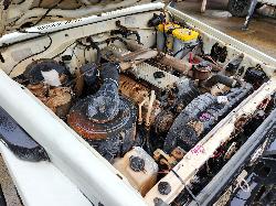 View Toyota Landcruiser 1997 2 Door Utility