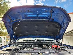View Ford Ranger 2019 4 Door Utility