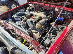 View Toyota Landcruiser 2001 2 Door Pickup