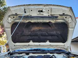 View Isuzu Dmax 2019 4 Door Pickup