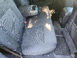 View Ford Ranger 2020 2 Door Utility