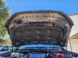 View Ford Ranger 2020 2 Door Utility