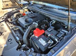 View Ford Ranger 2020 2 Door Utility
