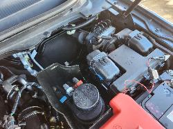 View Ford Ranger 2020 2 Door Utility