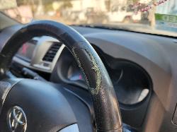 View Toyota Hilux 2012 2 Door Utility