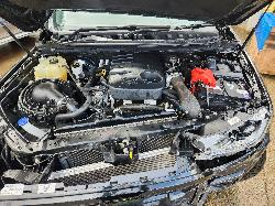 View Ford Ranger 2022 4 Door Utility