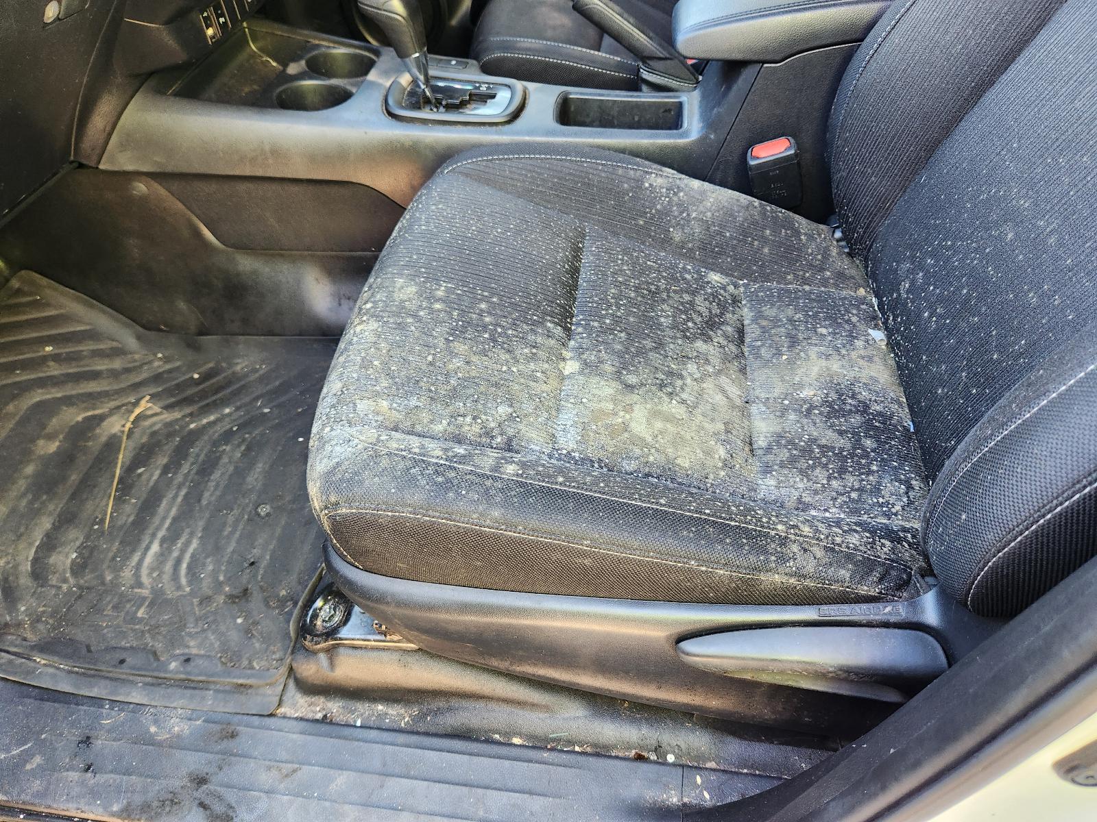 Toyota Hilux 2022 4 Door Utility View Toyota Hilux 2022 4 Door Utility