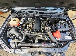 View Ford Ranger 2021 4 Door Utility