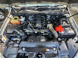 View Ford Everest 2021