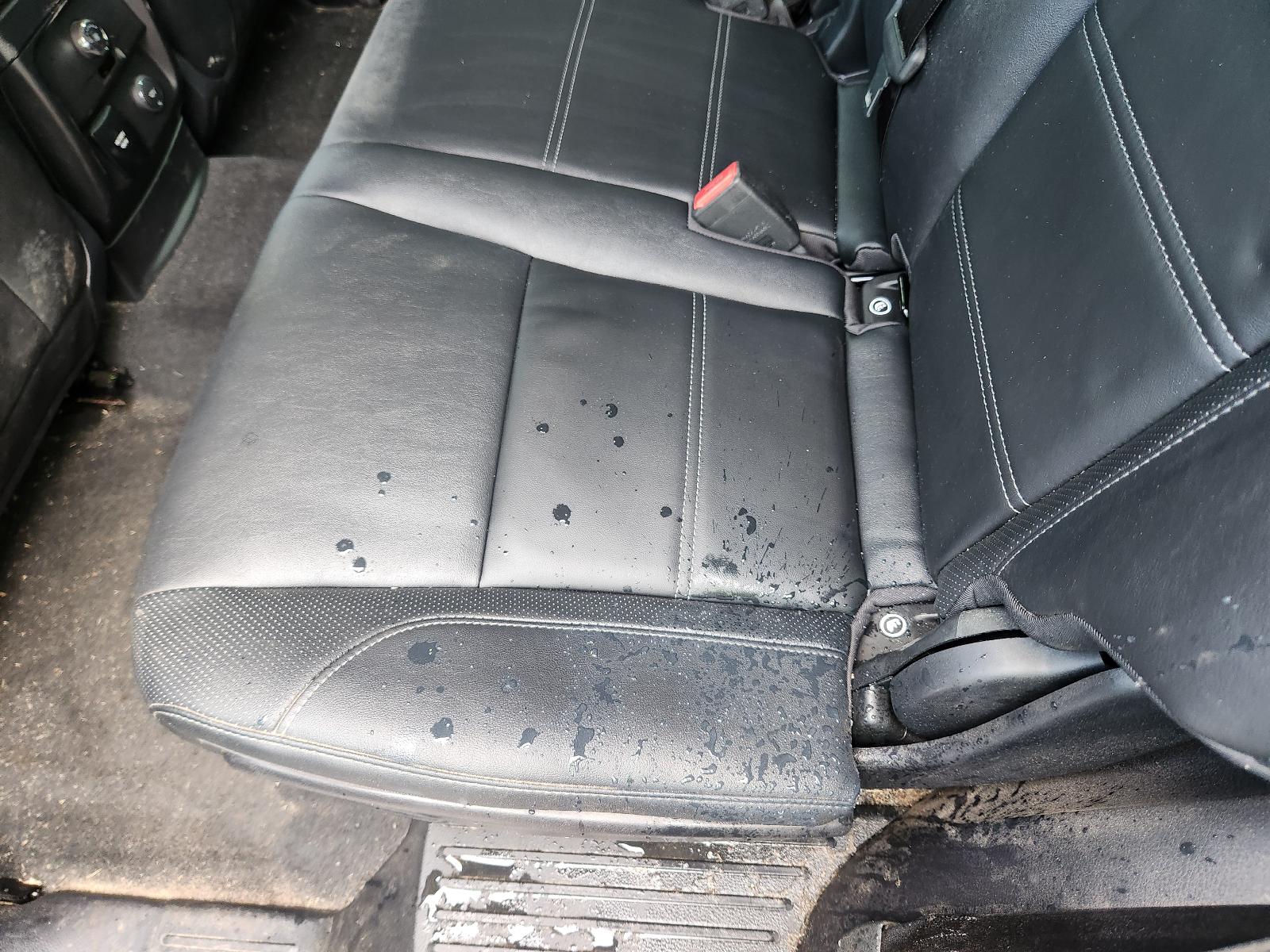 Ford Everest 2021 View Ford Everest 2021