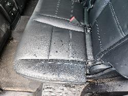 View Ford Everest 2021