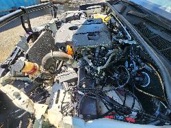View Toyota Hilux 2025 4 Door Utility
