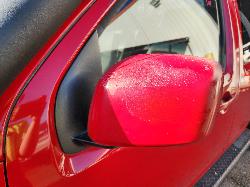 View Nissan Navara 2010 2 Door Utility