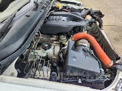 View Isuzu Dmax 2017 4 Door Utility