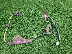 View Auto part Abs Sensor Toyota Landcruiser 2004