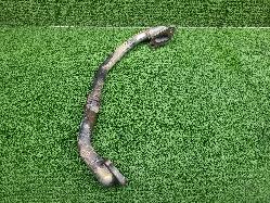 View Auto part Egr Valve Nissan Patrol 2003